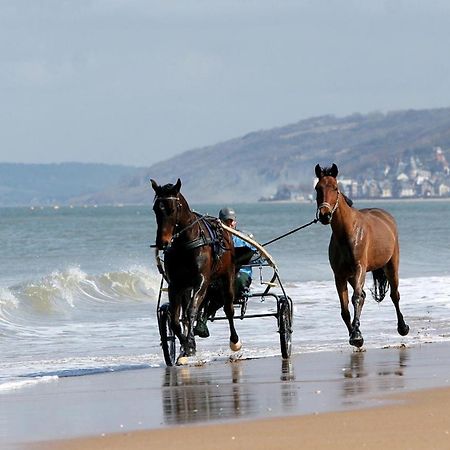 Le Nid De Plage A 100 M De La Mer Cabourg Exterior photo