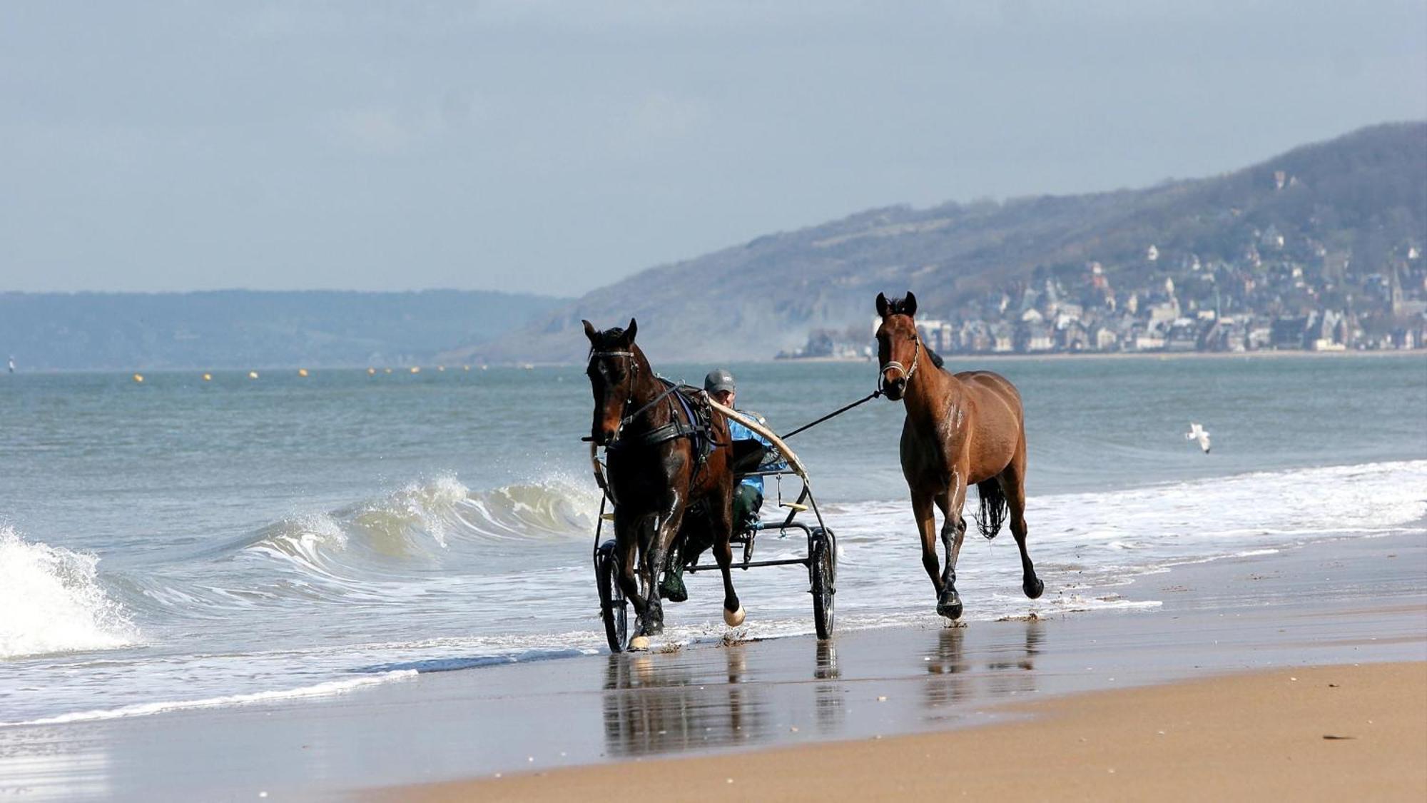 Le Nid De Plage A 100 M De La Mer Cabourg Exterior photo